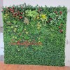 دیوار سبز مصنوعی برای بچه ها